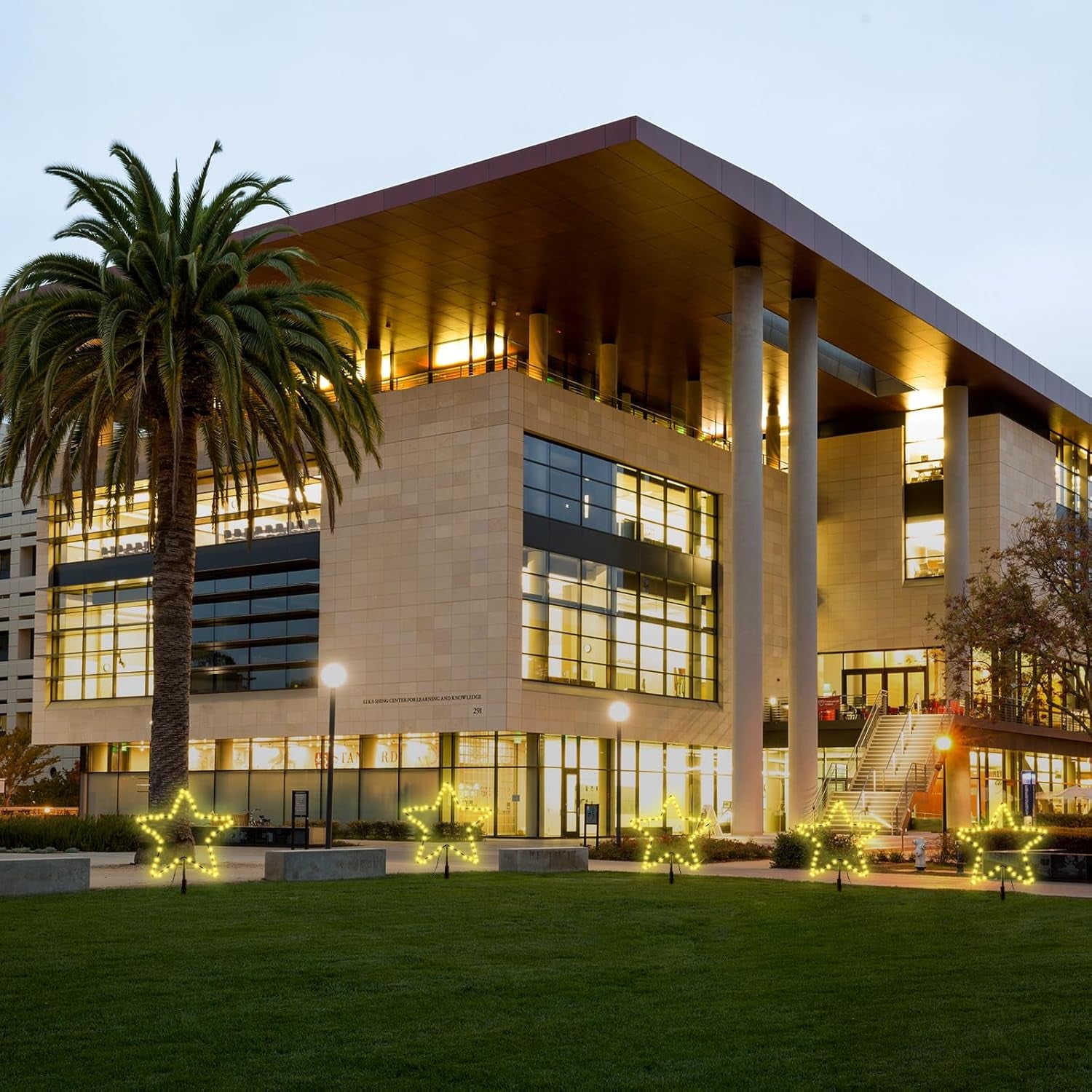 SALCAR 5M Weihnachtsbeleuchtung Außen, 6Er Pack LED Stern Weihnachtsdeko Garten, Außenbeleuchtung Stableuchte Mit Erdspieß, Schwarze Sterne, Warmweiß