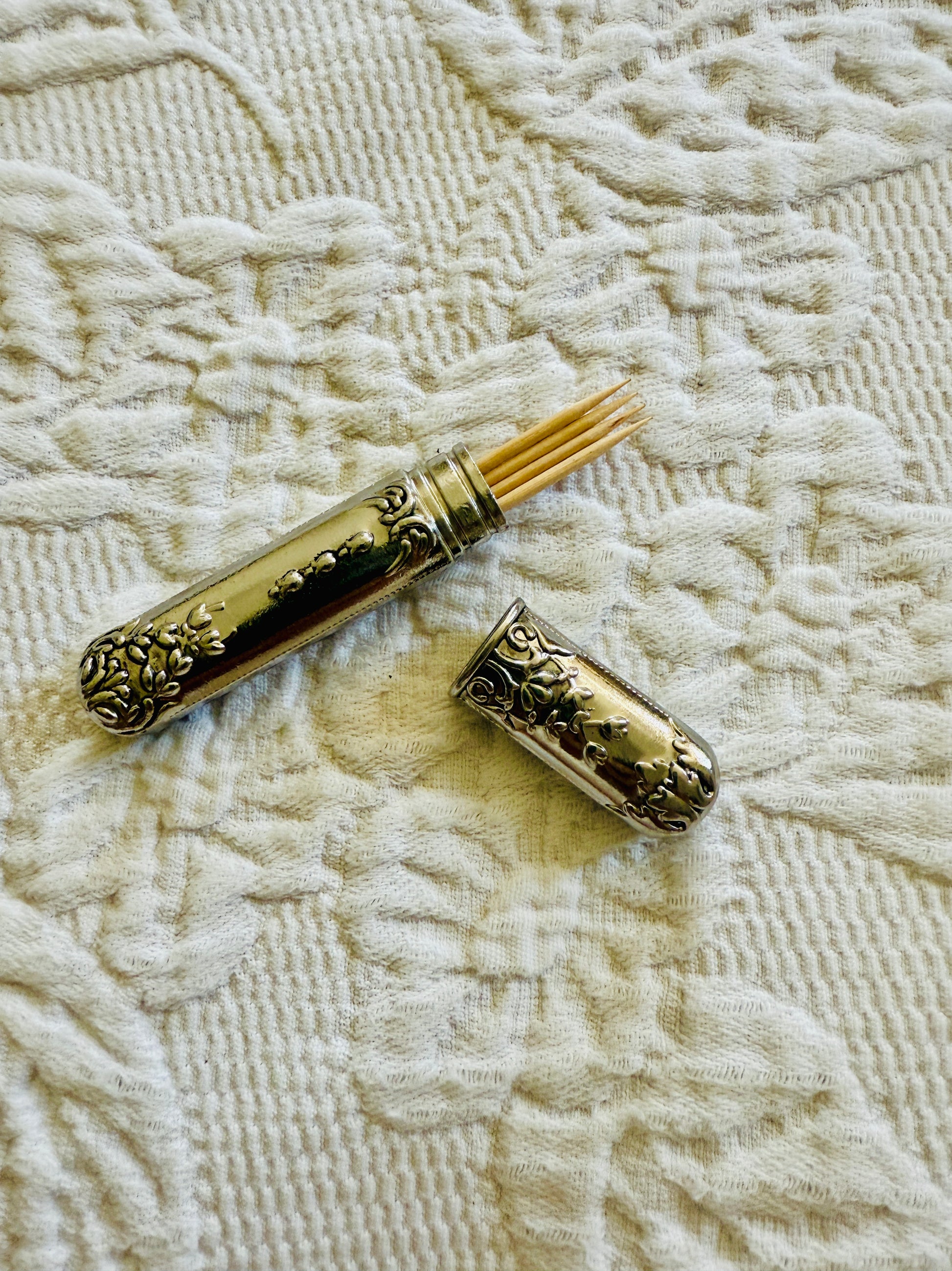 Tragbare Vintage Zahnstocherbox aus Edelstahl