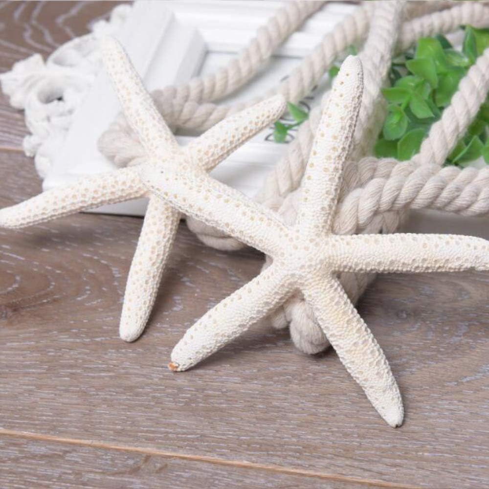 4er Set Starfish Vorhang Raffhalter  