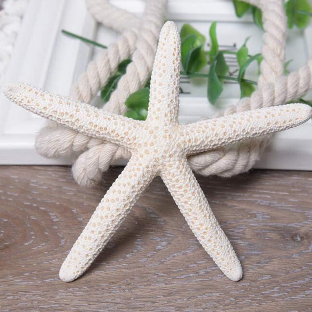 4er Set Starfish Vorhang Raffhalter  
